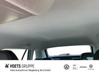 Skoda Kamiq - Vorschau Bild 14