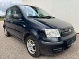 Fiat Panda 1.2 8V Dynamic Aut. *5-TÜRER*KLIMA* - Fiat Panda: 5.5