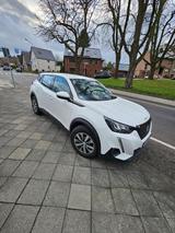 Peugeot 2008 PureTech 100 Active Active - 51.000 KM - Peugeot 2008 von privat