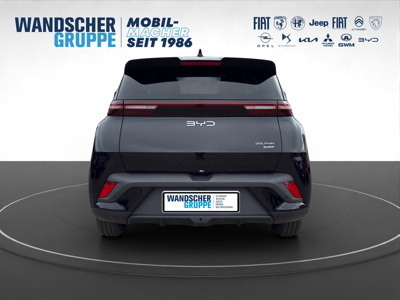 BYD DOLPHIN SURF