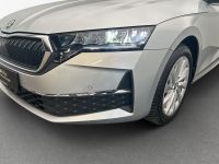 Skoda Octavia - Vorschau Bild 14