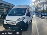 Fiat Ducato 35 L2H2 AHK CarPlay RüKa Allwetterreifen - Fiat Ducato Jahreswagen