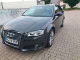 Audi A3 2.0 TDI (DPF) S tronic S line Sportback S... - Audi A3 mit Diesel-Antrieb: Leder, Limousine, 2.0