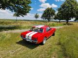 Ford Mustang V8 A 289cui  - gebrauchte Ford Mustang aus dem Jahr 1966