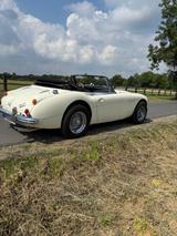 Austin Healey Andere - Austin Healey aus 1966