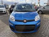 Fiat Panda 1.0 Hybrid SITZHEIZUNG,ALLWETTER,TFT-TACHO - Fiat Panda Gebrauchtwagen in Karlsruhe