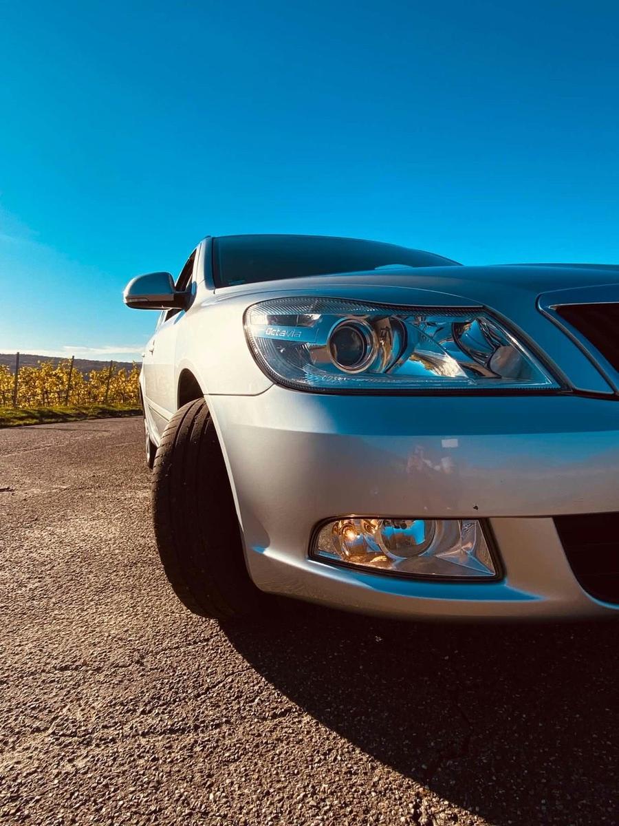Skoda Octavia 2011 — вигляд ззаду