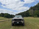 Toyota Tacoma - scheckheftgepflegte Toyota Tacoma