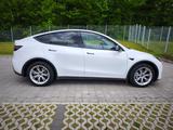 Tesla Model Y Dual Motor AWD  - Tesla Gebrauchtwagen in Bielefeld