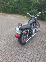 Harley-Davidson Sportster 883 Custom - Offers matching your search criteria