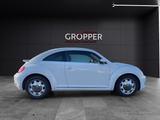 Volkswagen New Beetle Beetle 1.4 TSI Design Xenon/Tempom... - VW New Beetle Gebrauchtwagen