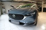 Mazda CX-30 e-SKYACTIV-G M-Hybrid 140 Homura AT - Mazda CX-30 Tageszulassungen