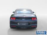 Ford Mustang Convertible 5.0 V8 GT NAVI^ RFK^ KLIMA^ - gebrauchte Cabrios in Würzburg
