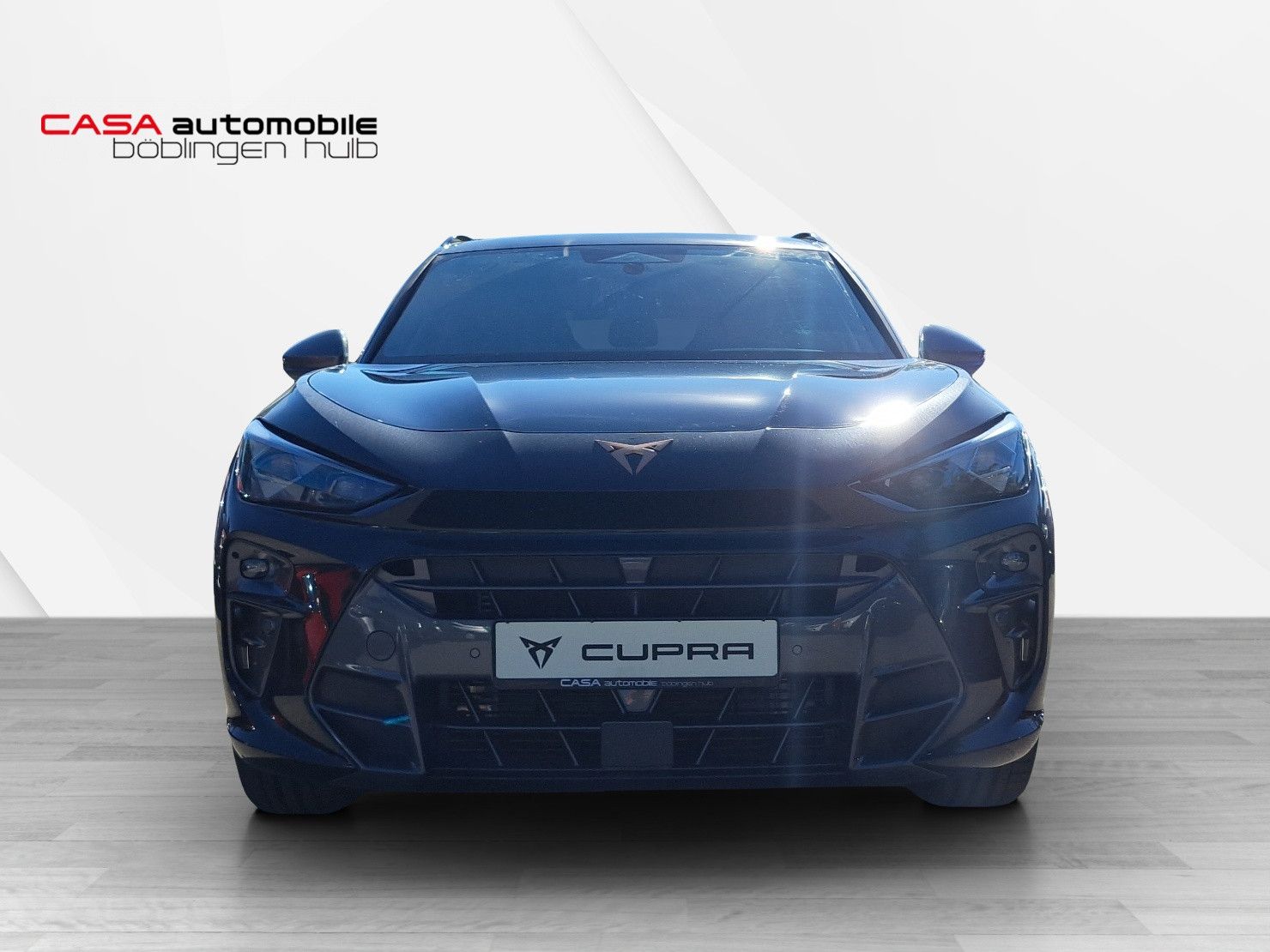 Terramar VZ 2.0 TSI 4Drive DSG HD-Matrix ACC DCC