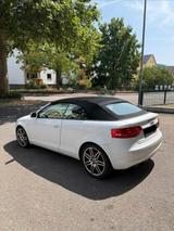 Audi A3 Cabriolet 1.8 TFSI 160 PS | Leder/... - Audi A3: 160 Ps