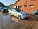 Mercedes-Benz Mercedes Benz CLK 500 Cabrio V8 - Mercedes-Benz CLK 500 aus 2006