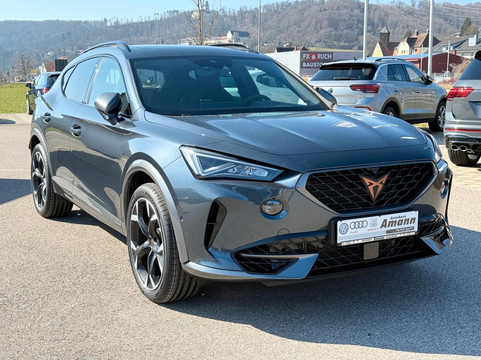 Cupra Formentor 2.0 TSI VZ 4Drive DSG Paket-XL*Kamera