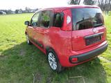 Fiat New Panda 1.2 8V LOUNGE Zahnriemen ern.3.25 - Fiat New Panda aus 2017