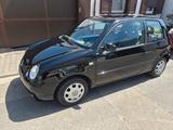Volkswagen Lupo 1.0 College College - Volkswagen Lupo: College