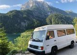 Mercedes-Benz MB 100 - Mercedes-Benz MB 100: Kleinbus