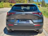 Mazda CX-30 e-SKYACTIV-X M-Hybrid Exclusive-Line A... - Mazda CX-30 Exclusive-Line mit Hybrid-Antrieb (Benzin/Elektro)