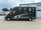 Peugeot Boxer Equitrek 1-2 Pferdetransporter - Tier- & Pferdetransport für 2 Pferde