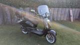 Luxxon Cruiser 125  Retro Roller in Topzustand  - LUXXON MOTORRAD