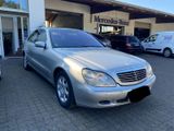 Mercedes-Benz Mercedes Benz S500 W220 M113 Motor Super Z... - Mercedes-Benz S 500 aus 2001