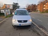 Volkswagen Caddy Maxi - Volkswagen Caddy Maxi aus 2008