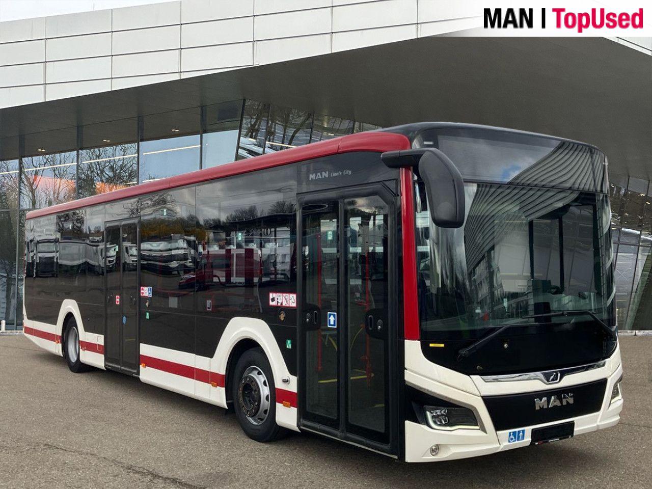 MAN LION'S CITY / 12C