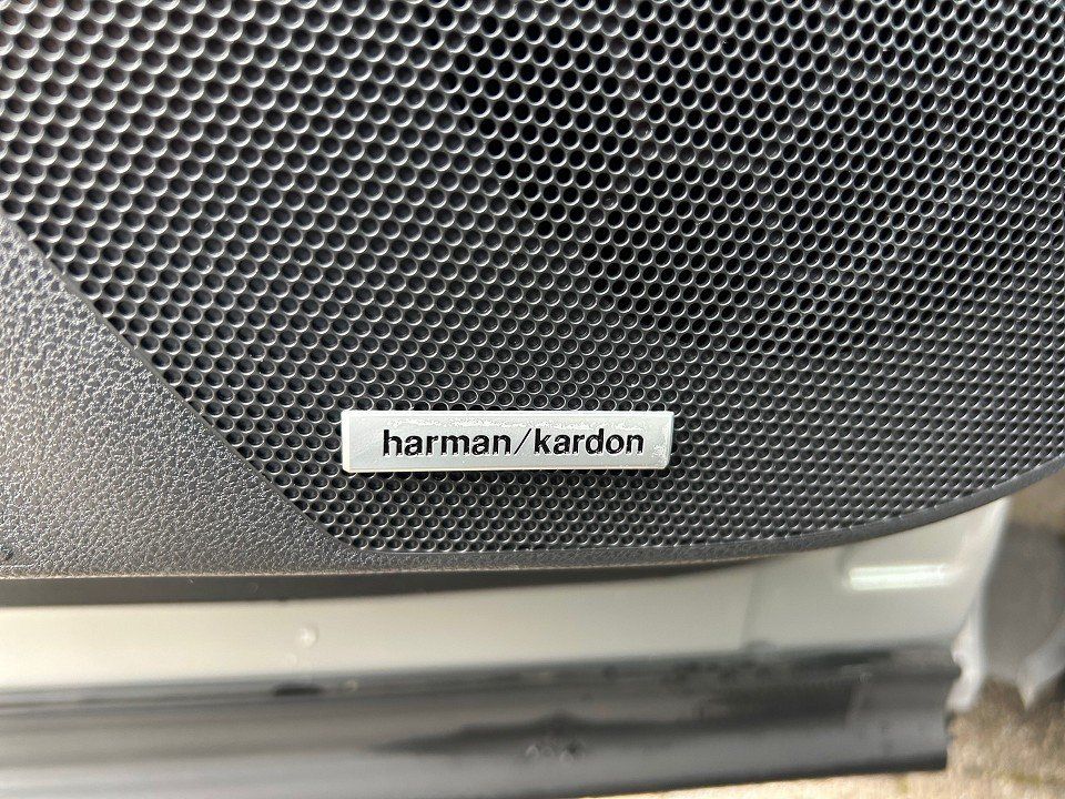 Fahrzeugabbildung Subaru FORESTER 2.0ie AUT AWD PLATINUM PANO 360+H&K+LED