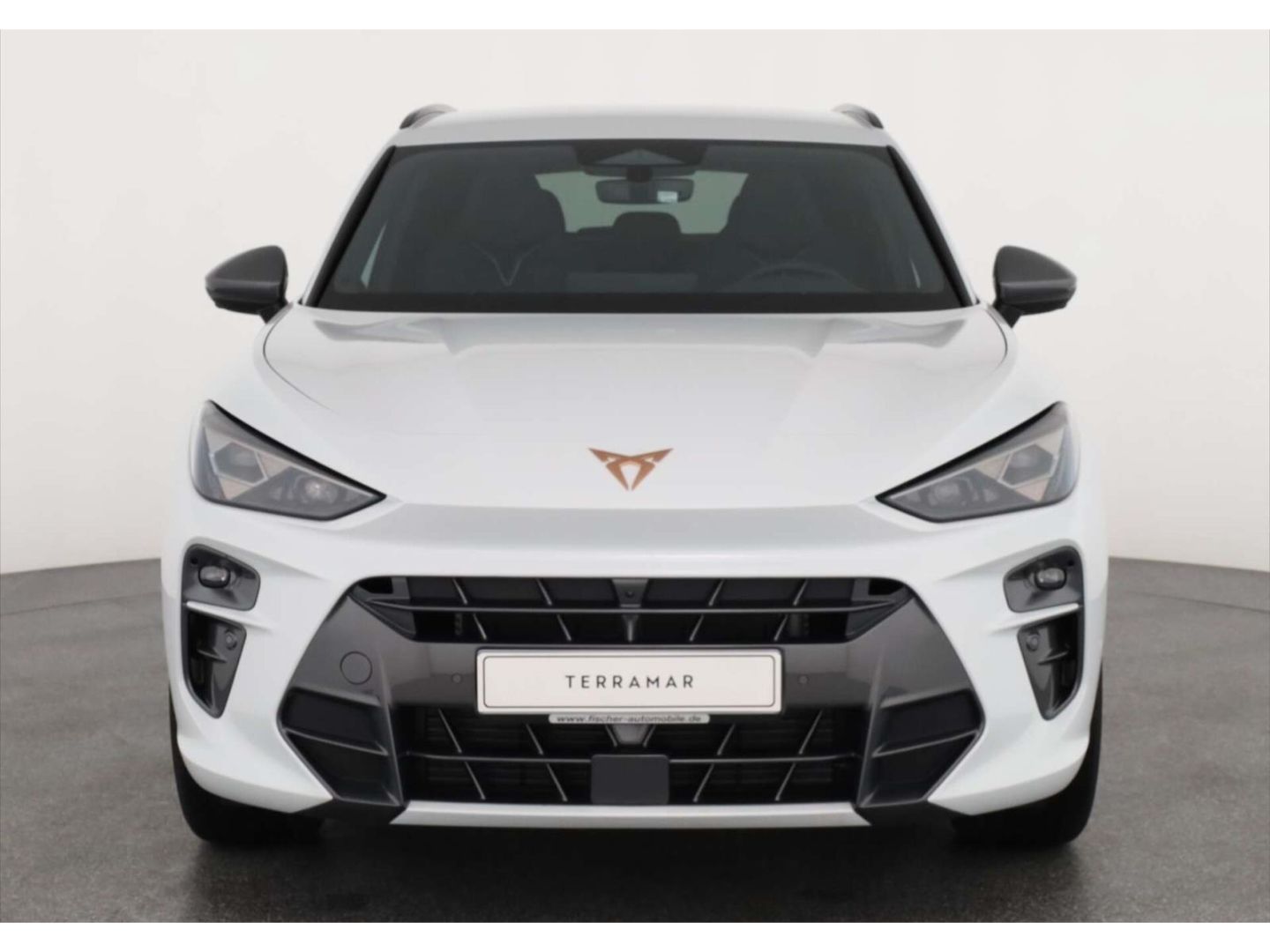 Cupra Terramar - Bild 3