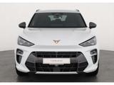Cupra Terramar 1.5 eTSI - Gebrauchtwagen in der Nähe & deutschlandweit