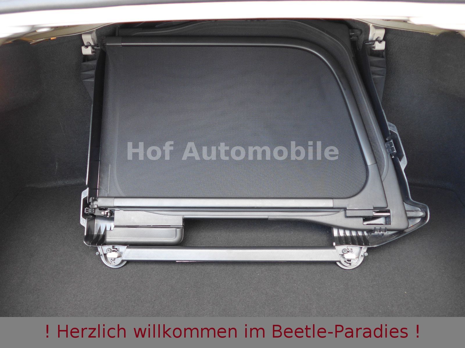 Volkswagen Beetle 1.2TSI 50"s Design Xenon Kamera Leder foto 24