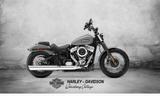 Harley-Davidson Street Bob 117 SONDERPREIS inkl. 1903€ Rabatt - Harley-Davidson Street Bob 117