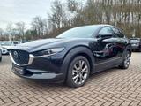 Mazda CX-30 X 2.0 AWD SELECTION ACT-P DES-P LED-S GSD  - Mazda CX-30 in Wuppertal