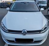 Volkswagen VW Golf 7 Allstar 64.000 TÜV Xenon Navi Kamera - Volkswagen Golf: 6.0