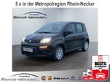 Fiat Pandina Cross 1.0 DAB Spurhalteass. Verkehrszeic - Fiat New Panda Tageszulassungen