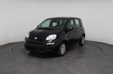 Fiat Panda 1.0 Mild-Hybrid Pandina Icon *PDC*LKA*DAB* - Fiat Panda Neuwagen