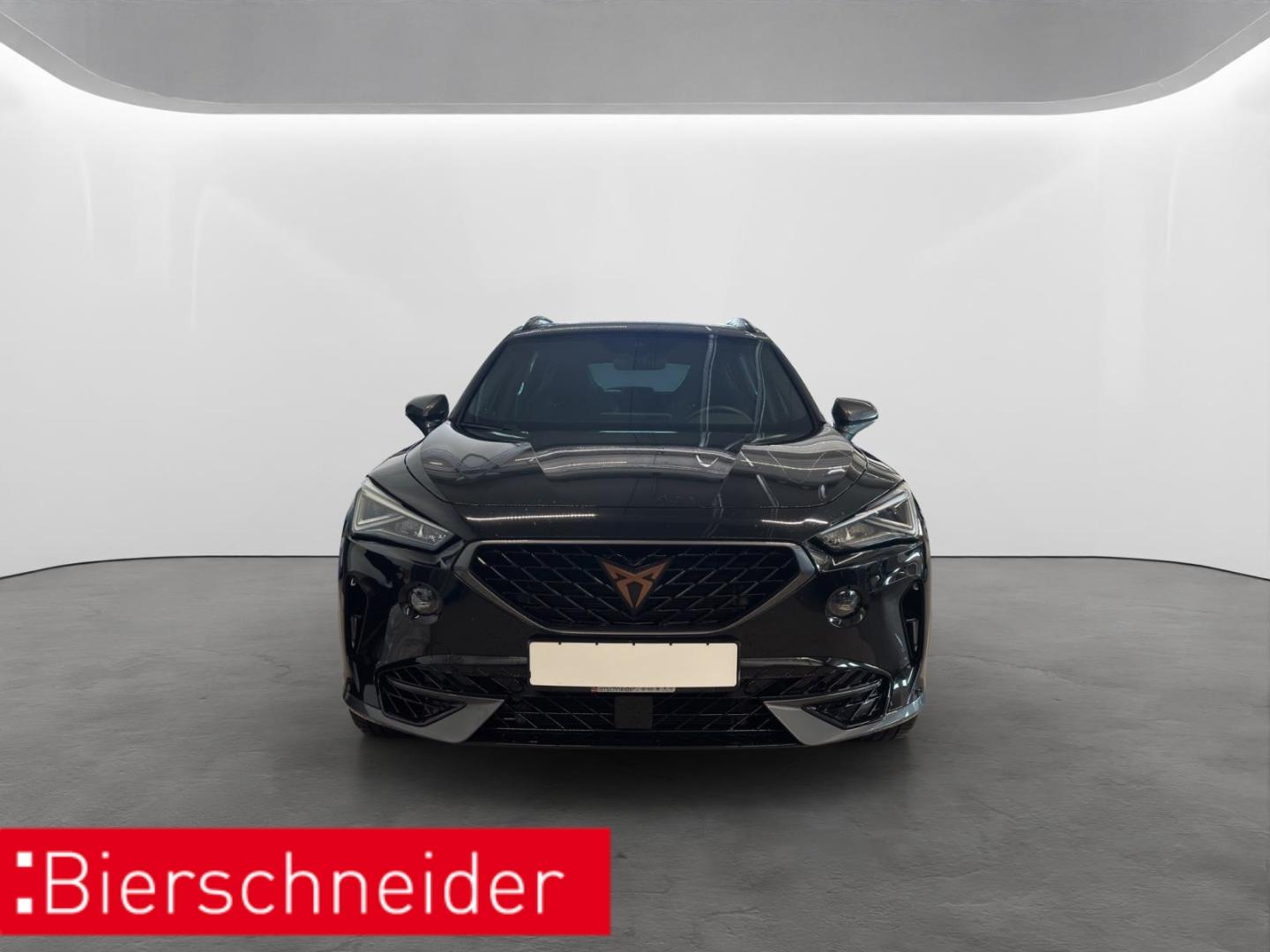 Cupra Formentor 2.0 TSI DSG 4Drive VZ LED NAVI ACC, миниатюра 3