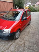 Fiat Panda im super Zustand Schweizer Fahr... - : Schweiz