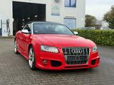 Audi S5 Cabriolet 3.0 TFSI Quattro ABT*Leder*Xenon* - Audi S5 aus 2010: Cabrio