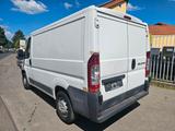 Fiat Ducato Kasten 28 100 - Fiat Ducato in Bonn