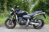Honda Hornet CB600 - HONDA HORNET 600