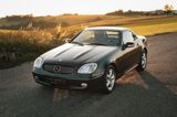 Mercedes-Benz SLK 320 Designo Alanitgrün - Mercedes-Benz: Slk Designo