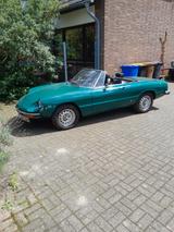 Alfa Romeo Spider - Alfa Romeo aus 1977