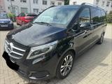 Mercedes-Benz V 250 d lang - - Mercedes-Benz V 250 in Braunschweig