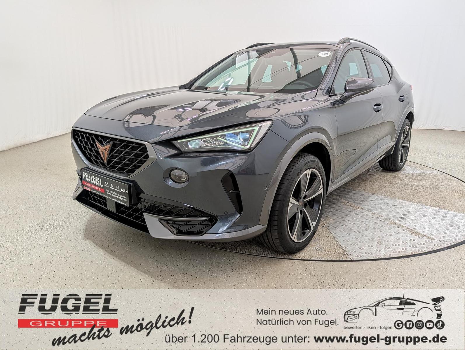 Cupra Formentor 2.0 TDI DSG 4Drive Winter|Navi|ACC|LED