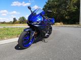 Yamaha YZF R3 - Akrapovič + Quickshifter - YAMAHA YZF R3