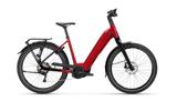 Koga Pace B05 (XL) mit Starrer Gabel - Koga E-Bikes